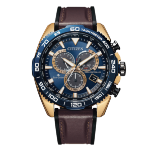 CB5039-11L CITIZEN シチズン プロマスター LAND