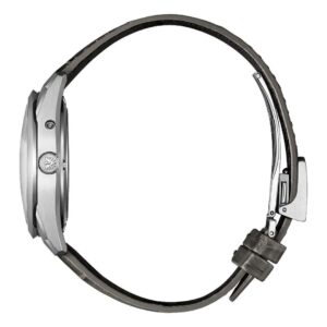 【世界限定400本】 AQ4100-22A The CITIZEN ザ・シチズン Iconic Nature Collection 「冬」 The CITIZEN30周年記念限定モデル