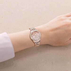 【世界限定1,300本】 EE1004-81N CITIZEN シチズン クロスシー daichi collection