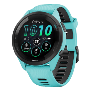 010-02810-42 GARMIN ガーミン フォアランナー 265