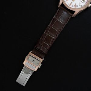【世界限定400本】 AQ4106-00A The CITIZEN ザ・シチズン Iconic Nature Collection 「春」 The CITIZEN30周年記念限定モデル
