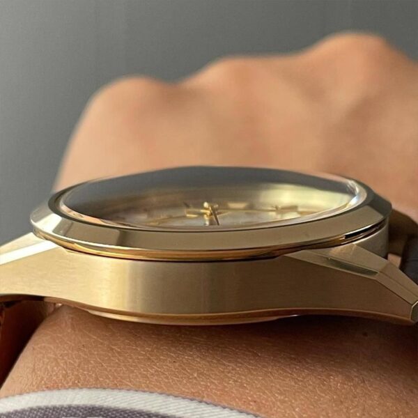 【世界限定500本】 AQ4042-01P The CITIZEN ザ・シチズン 25周年記念限定モデル