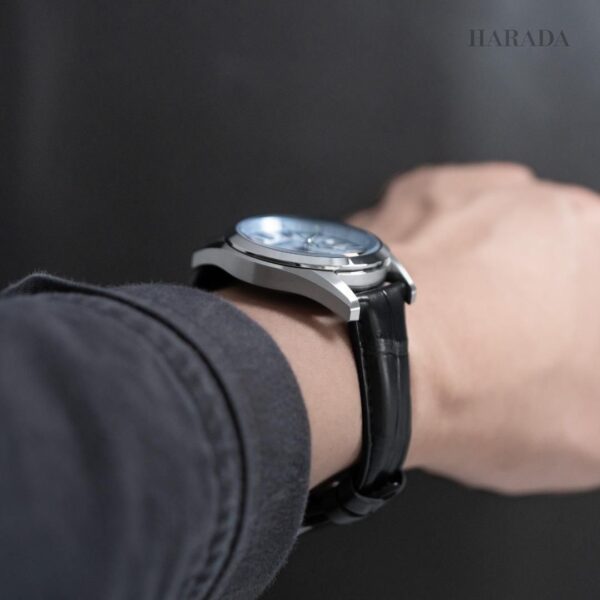 【世界限定200本】 AQ4090-08A The CITIZEN ザ・シチズン 特定店限定モデル