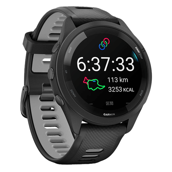 010-02810-40 GARMIN ガーミン フォアランナー 265 / 265S