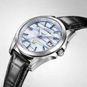 【世界限定200本】 AQ4090-08A The CITIZEN ザ・シチズン 特定店限定モデル